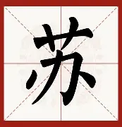 关于苏炳添西甲赛程公布冲上热搜的信息
